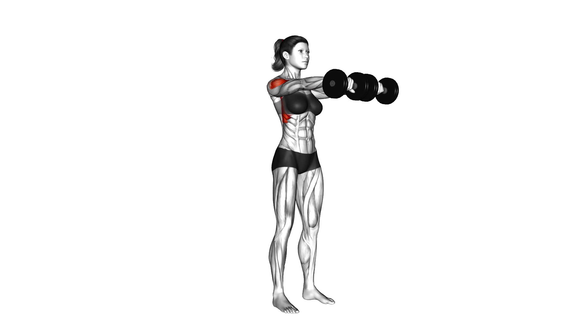 Dumbbell Front Raise (female) - Video Exercise Guide & Tips