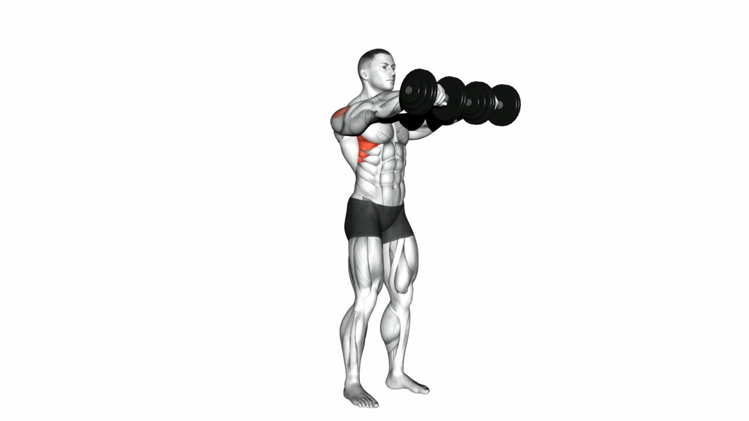 Dumbbell Front Raise: Ultimate Exercise Guide & Tips [video]