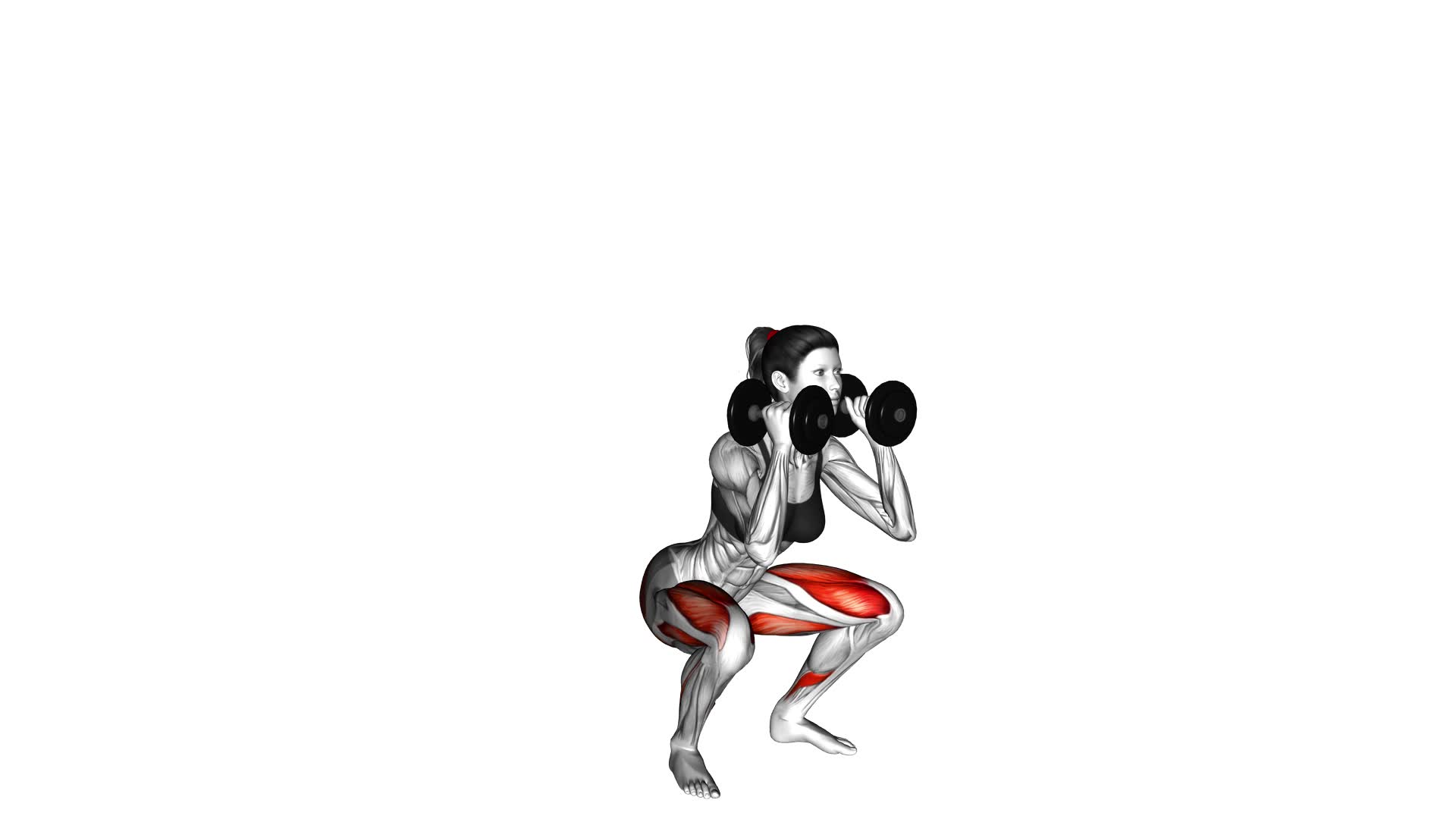Dumbbell Front Squat (female) - Video Exercise Guide & Tips