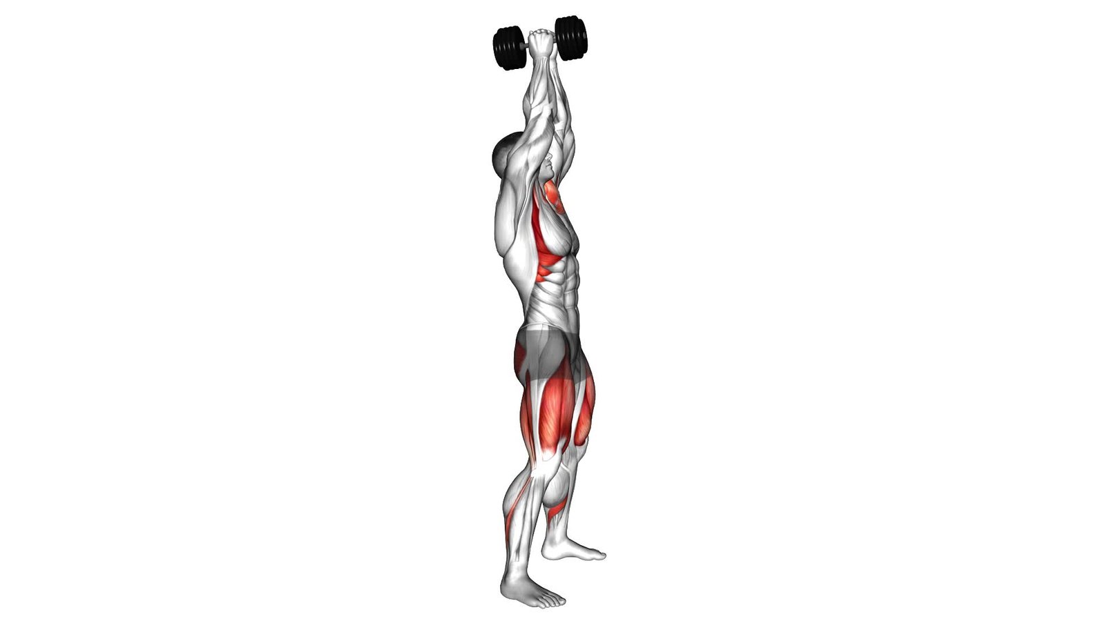 Dumbbell Full Swing - Video Exercise Guide & Tips