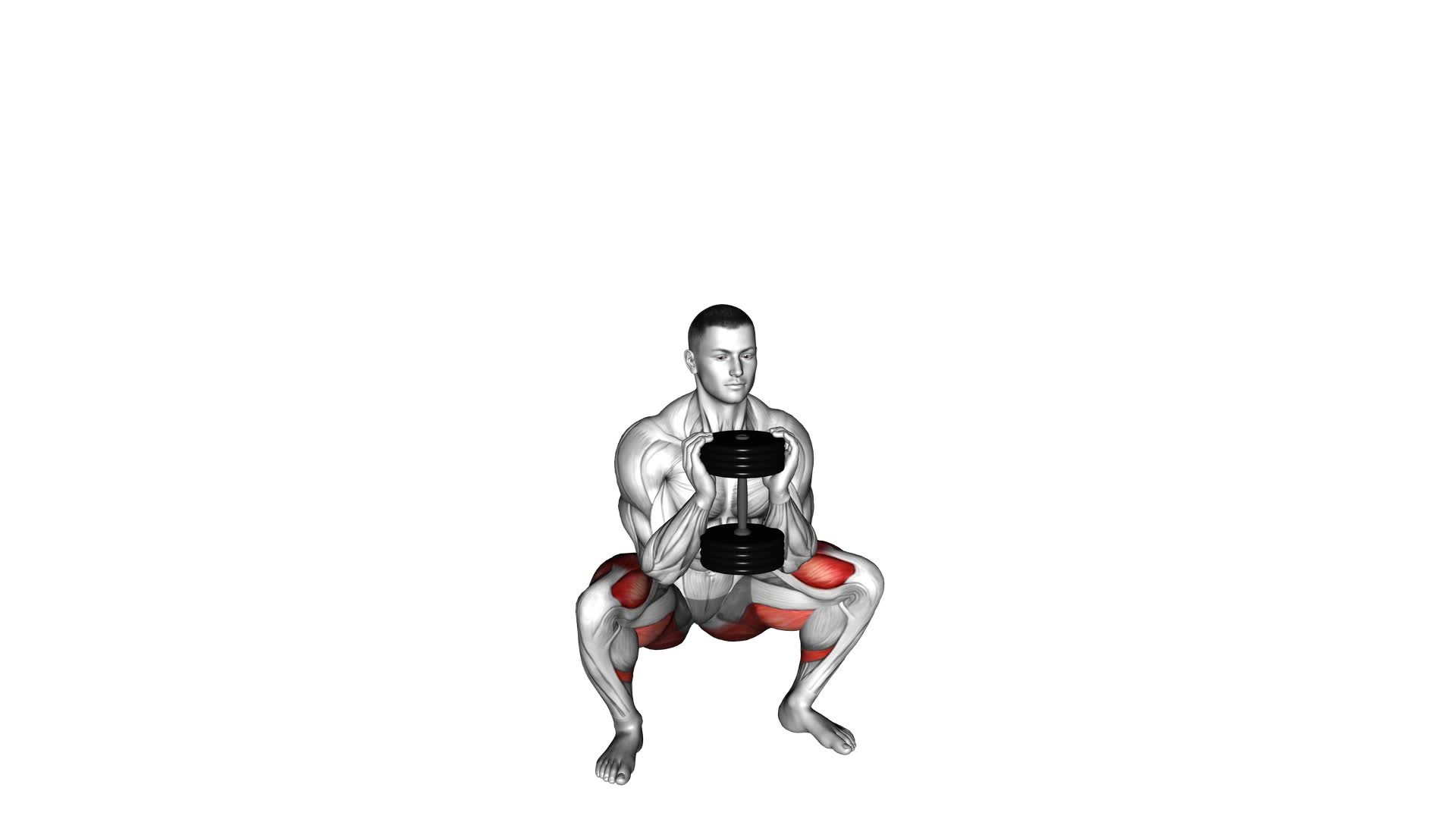 Dumbbell Goblet 2 Sec Hold Squat - Video Exercise Guide & Tips