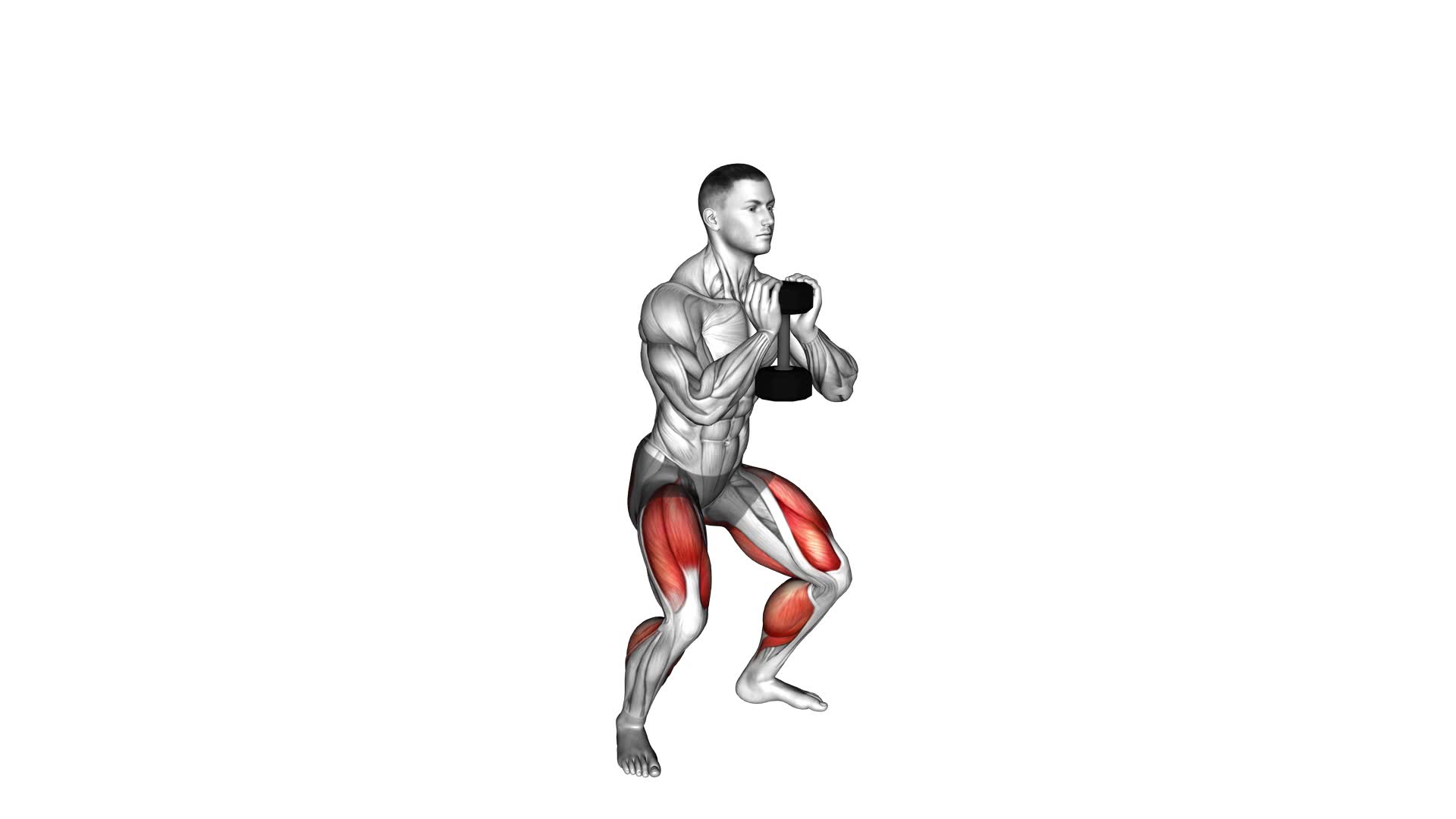 Dumbbell Goblet Squat With Calf Raise - Video Exercise Guide & Tips
