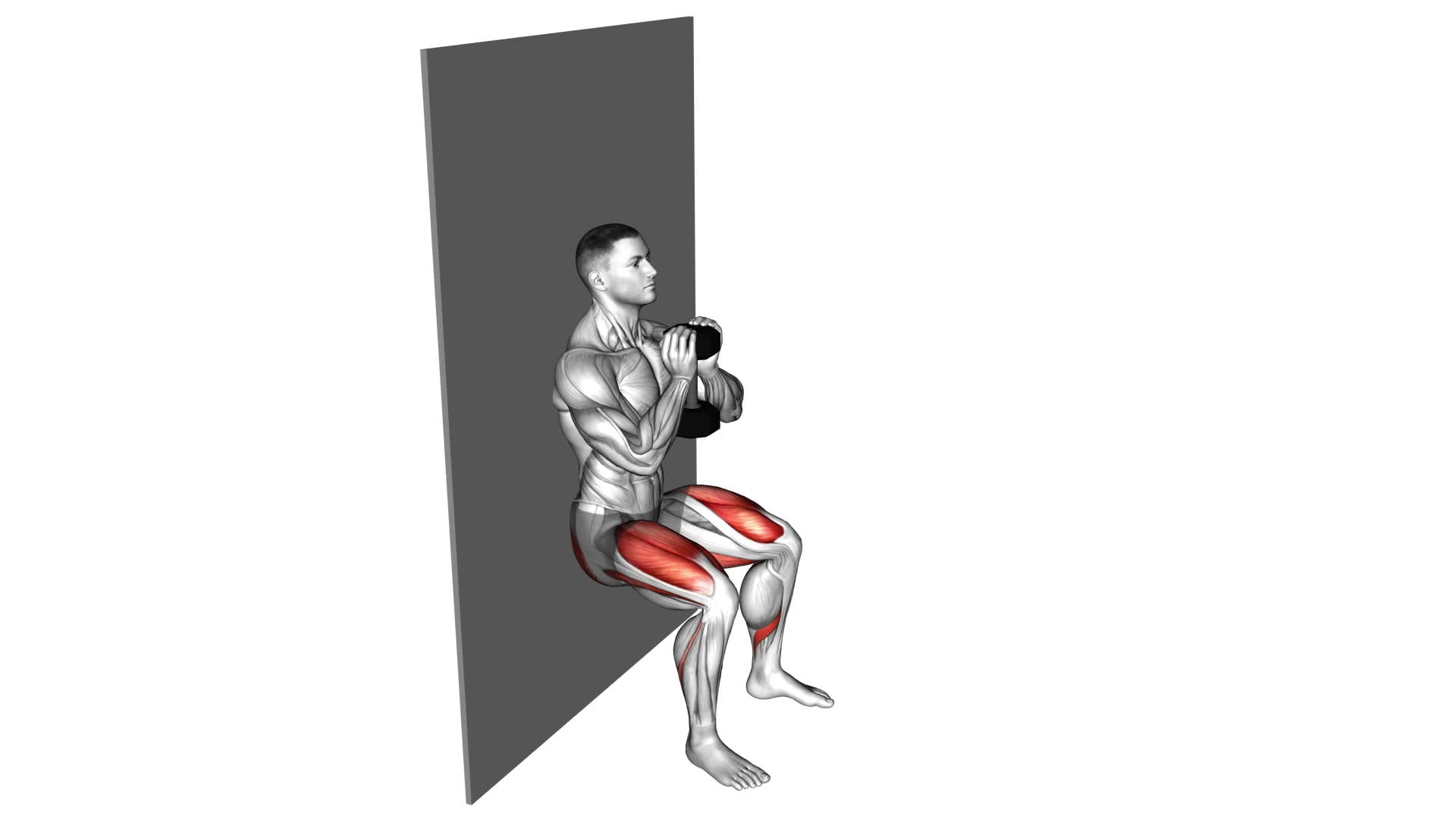Dumbbell Goblet Wall Sit (male) - Video Exercise Guide & Tips