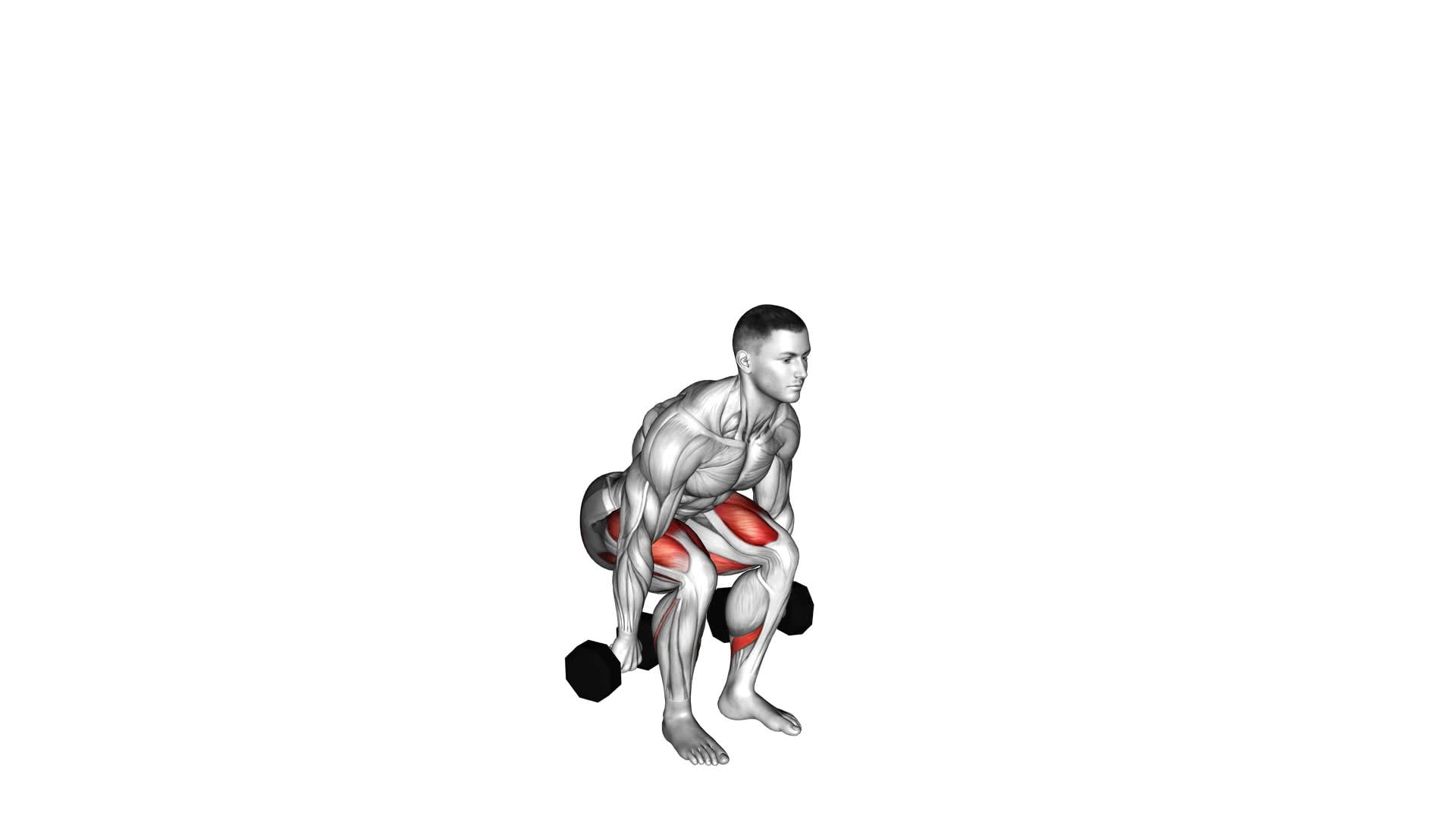 Dumbbell Hack Squat - Video Exercise Guide & Tips