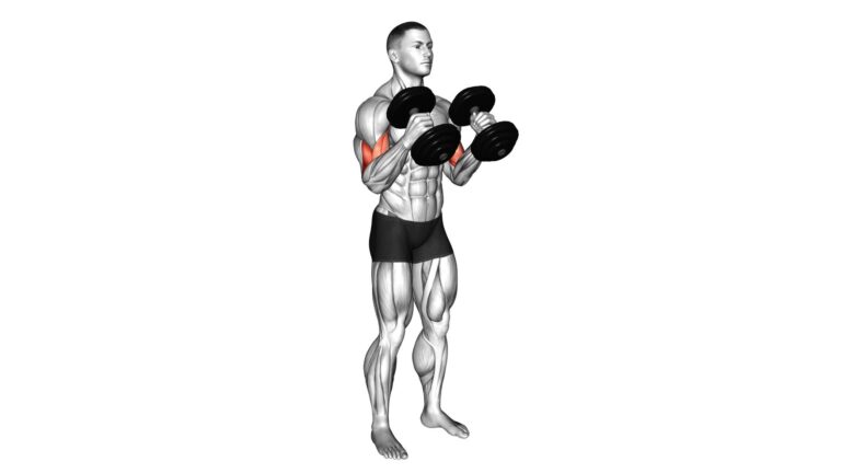 Dumbbell Hammer Curl: Video Guide & Tips (version 2) For Effective Arm ...