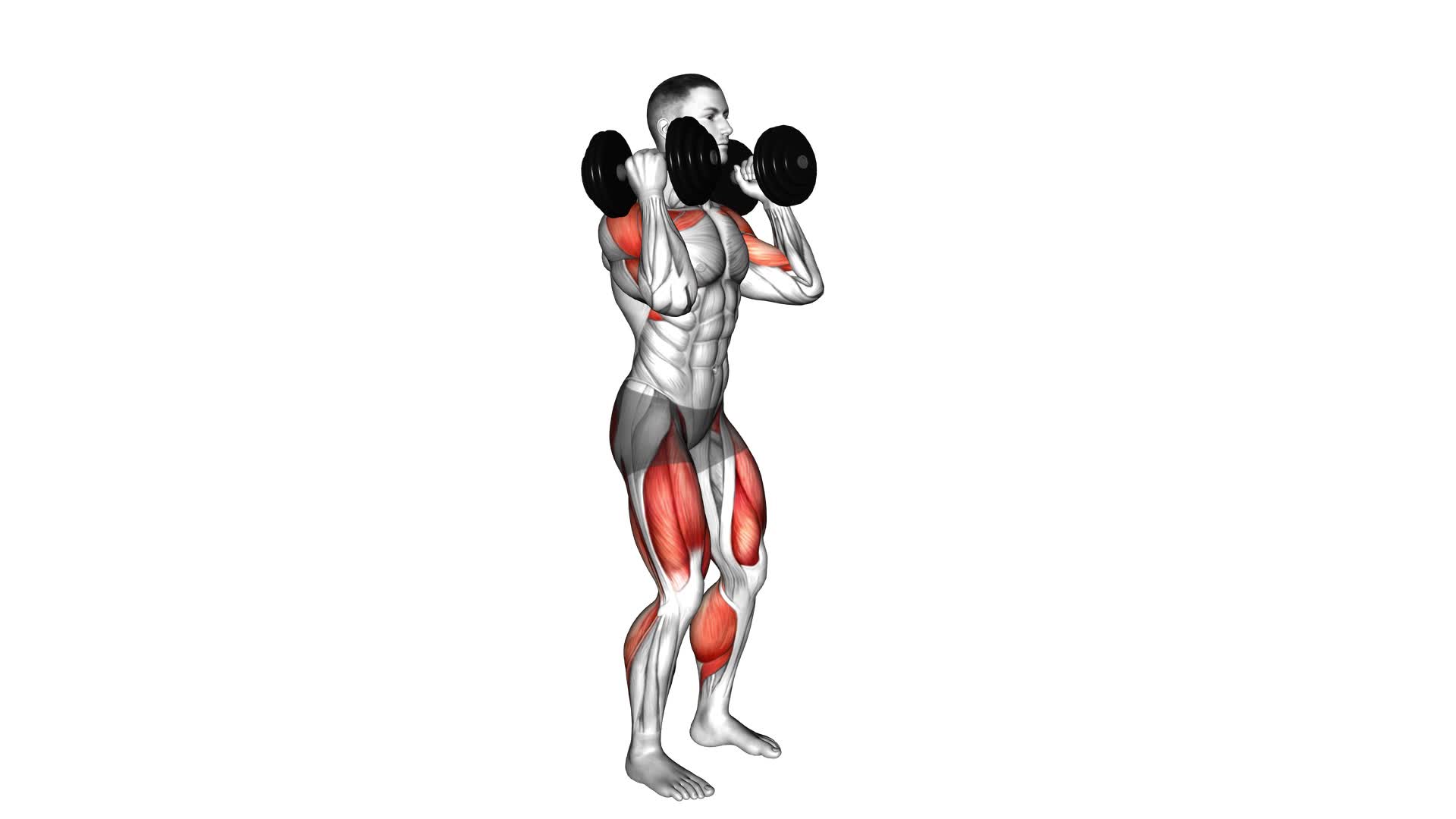 Dumbbell Hang Power Clean - Video Exercise Guide & Tips