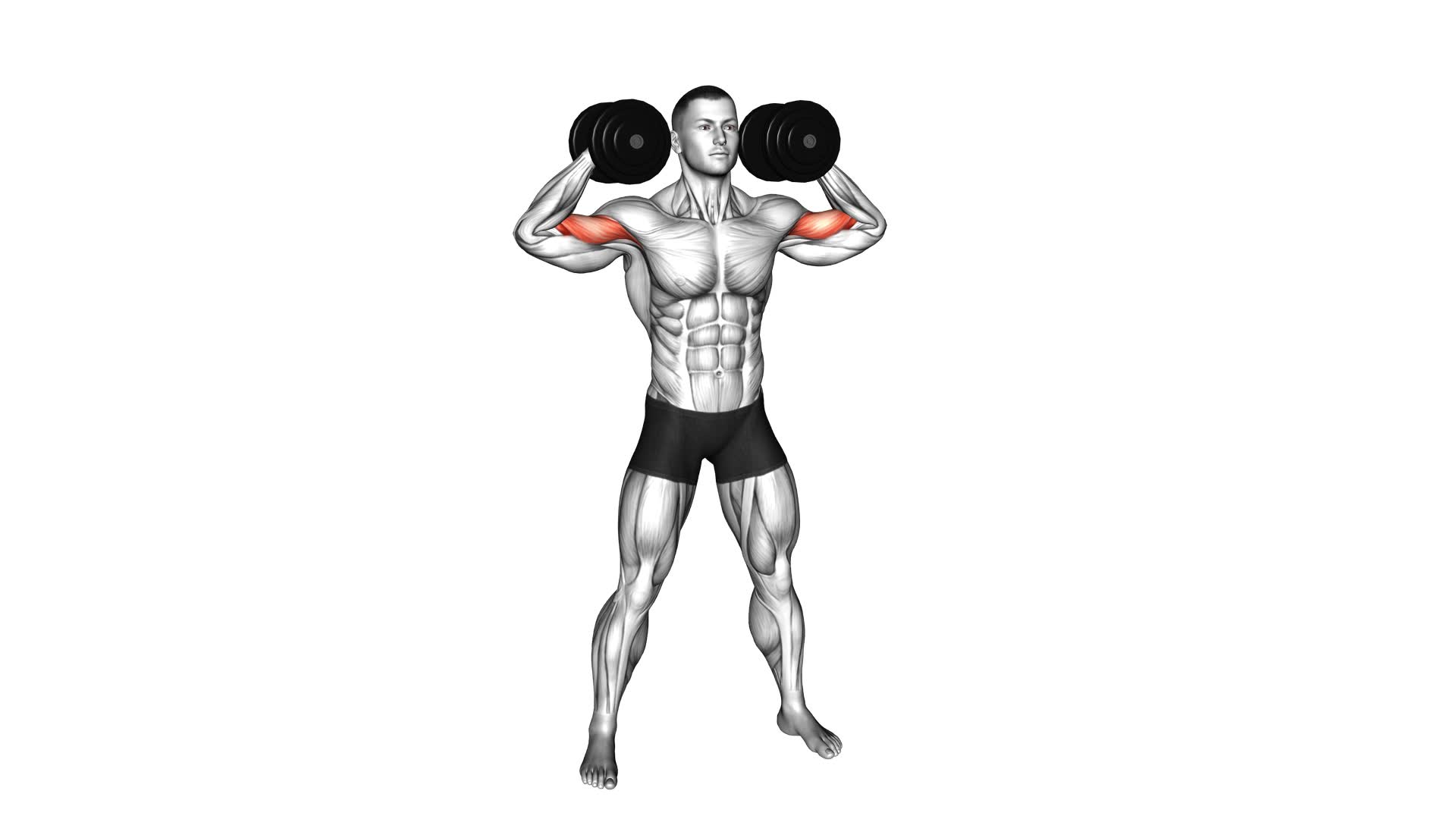 Dumbbell High Curl - Video Exercise Guide & Tips