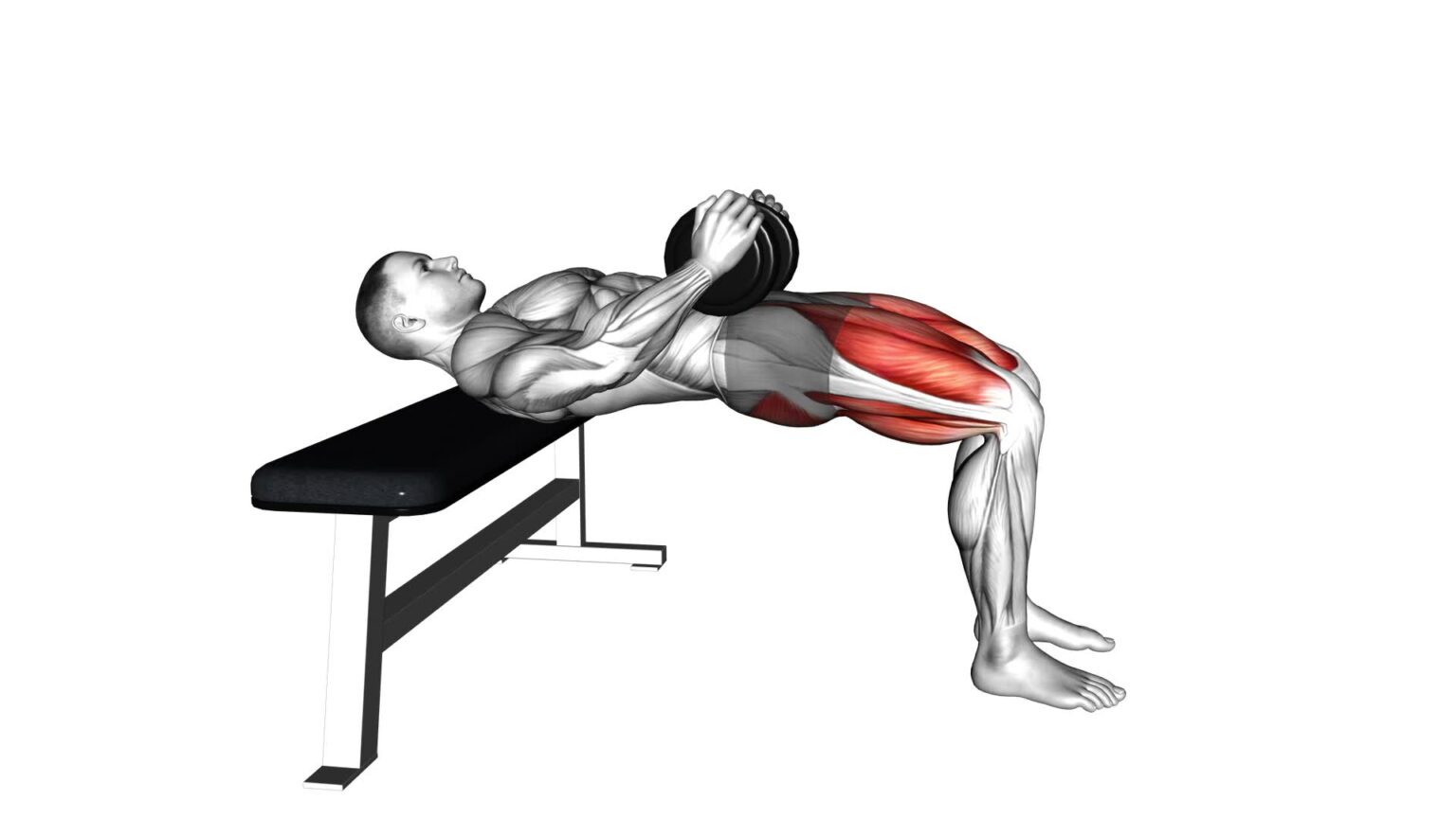 Dumbbell Hip Thrust (V2) Video Guide & Tips For Effective Exercise