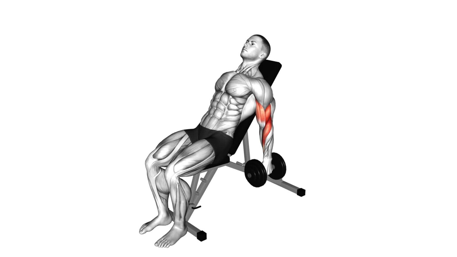 Dumbbell Incline Alternate Hammer Curl - Video Exercise Guide & Tips ...