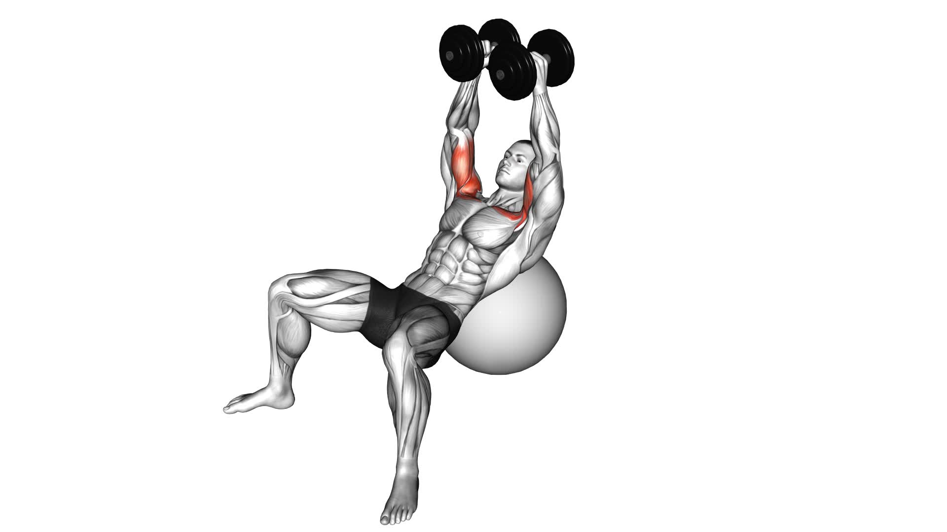 Dumbbell Incline Fly on Exercise Ball - Video Exercise Guide & Tips