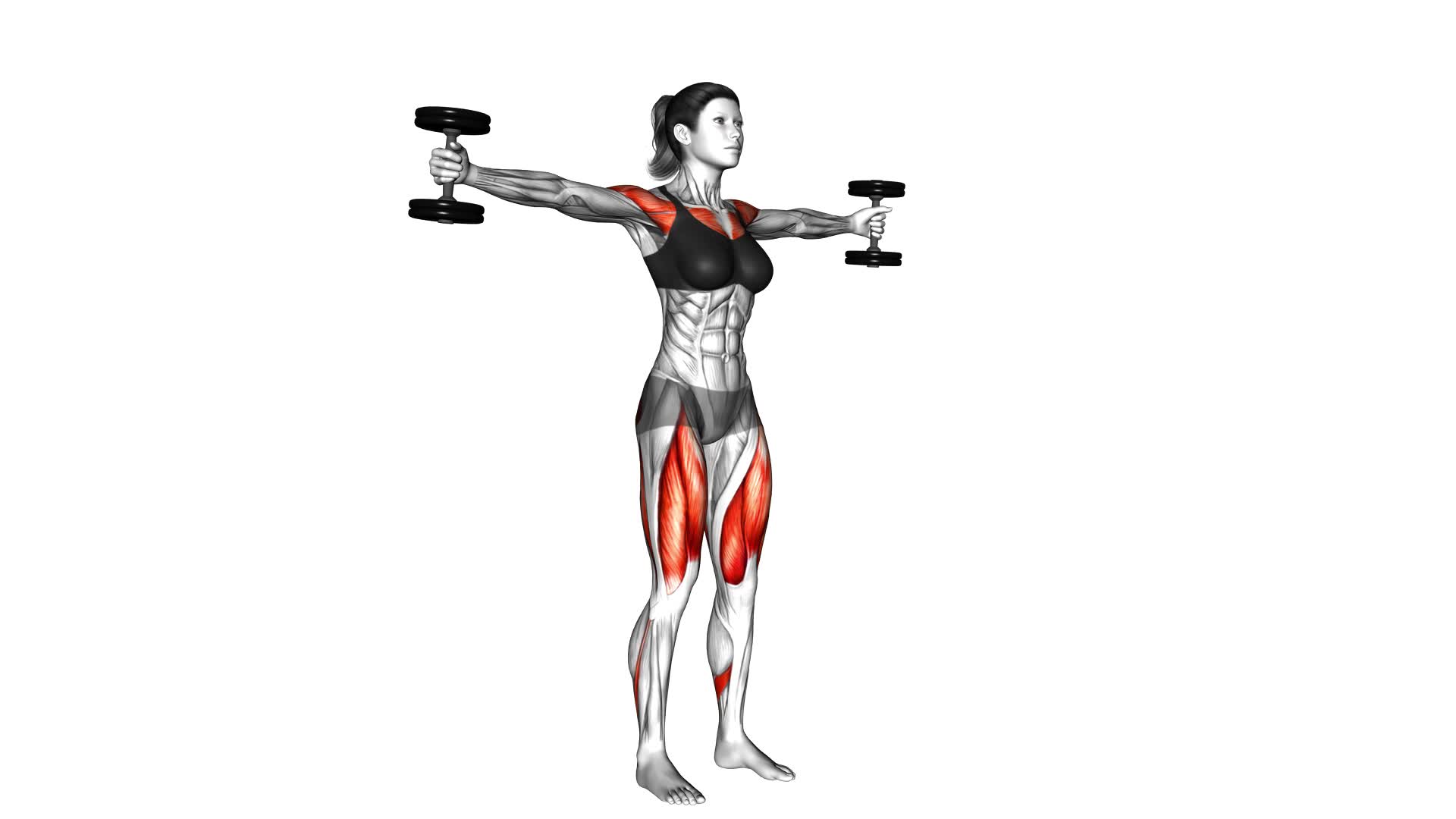 Dumbbell Iron Cross (female) - Video Exercise Guide & Tips