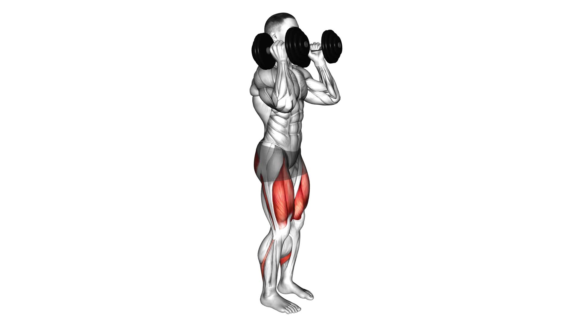 Dumbbell Kneeling Hold to Stand Clean Grip - Video Exercise Guide & Tips