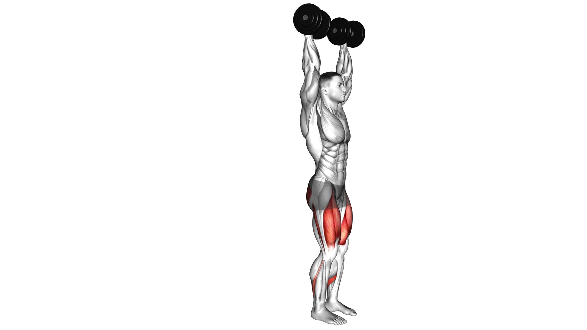 Dumbbell Kneeling Hold to Stand - Video Exercise Guide & Tips