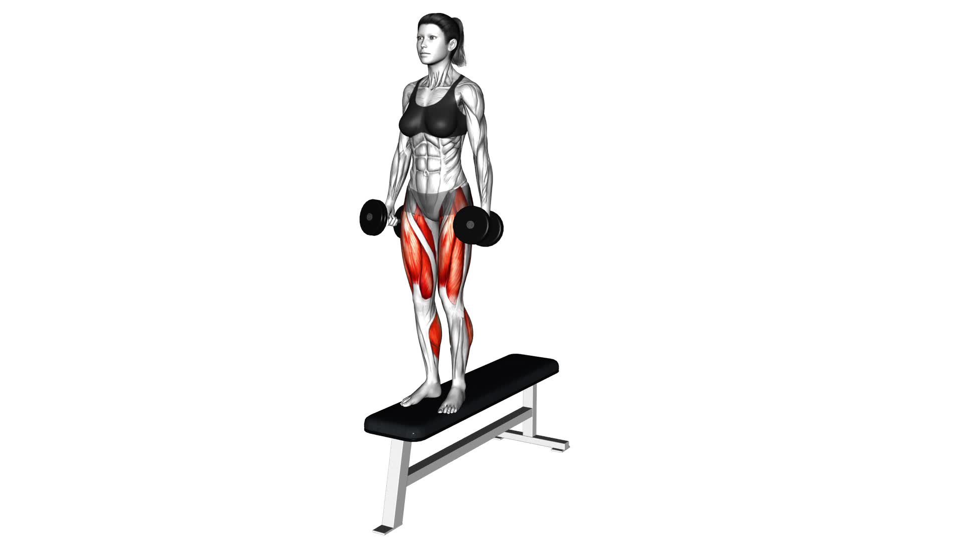 Dumbbell Lateral Step-up (female) - Video Exercise Guide & Tips