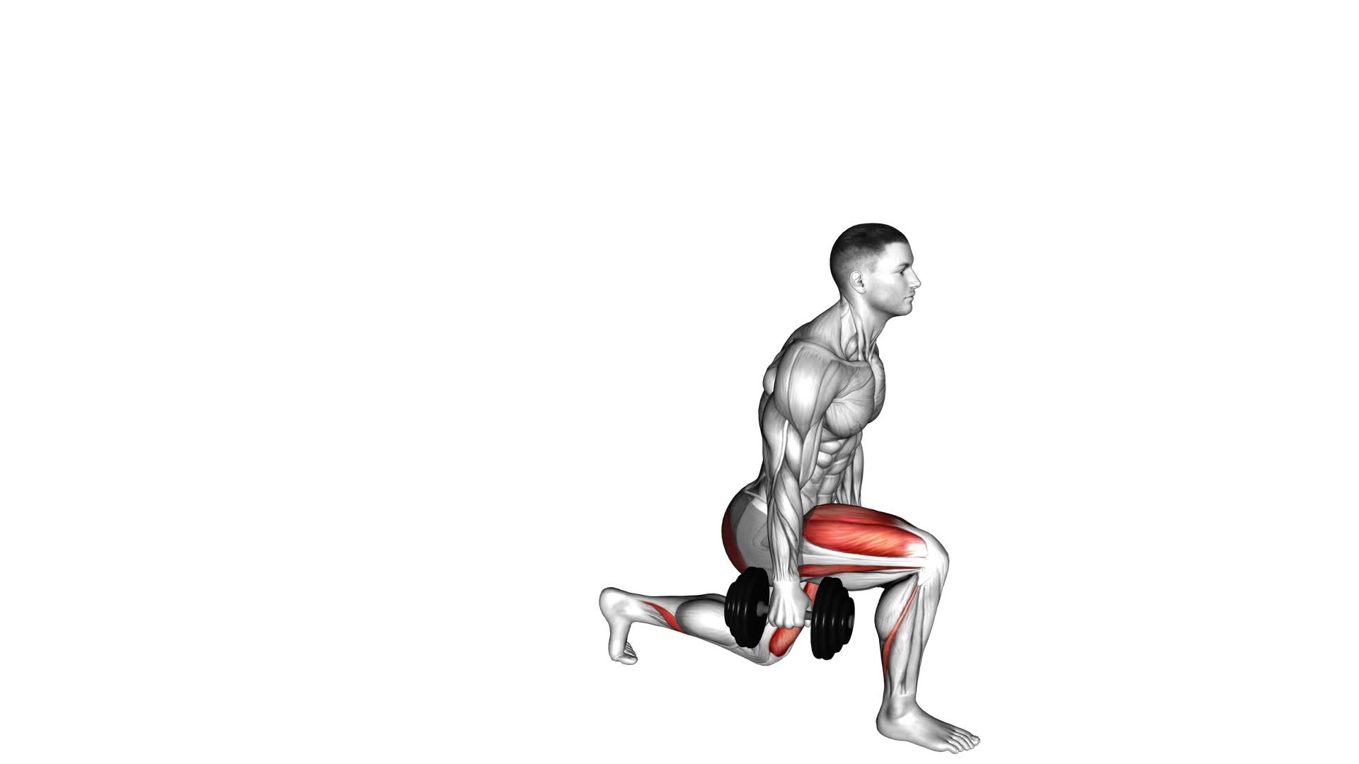 Dumbbell Lunge - Video Exercise Guide & Tips