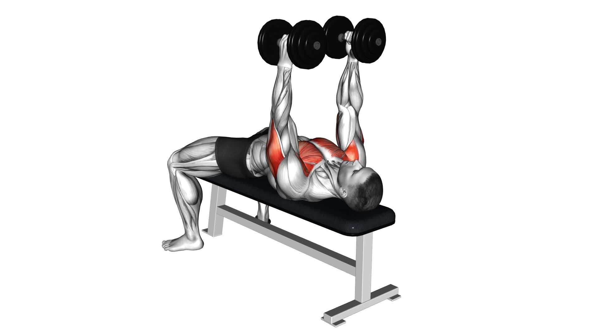 Dumbbell Lying Hammer Press - Video Exercise Guide & Tips