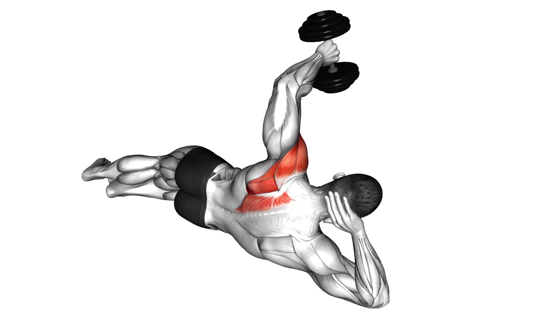 Dumbbell Lying on Floor Rear Delt Raise - Video Exercise Guide & Tips