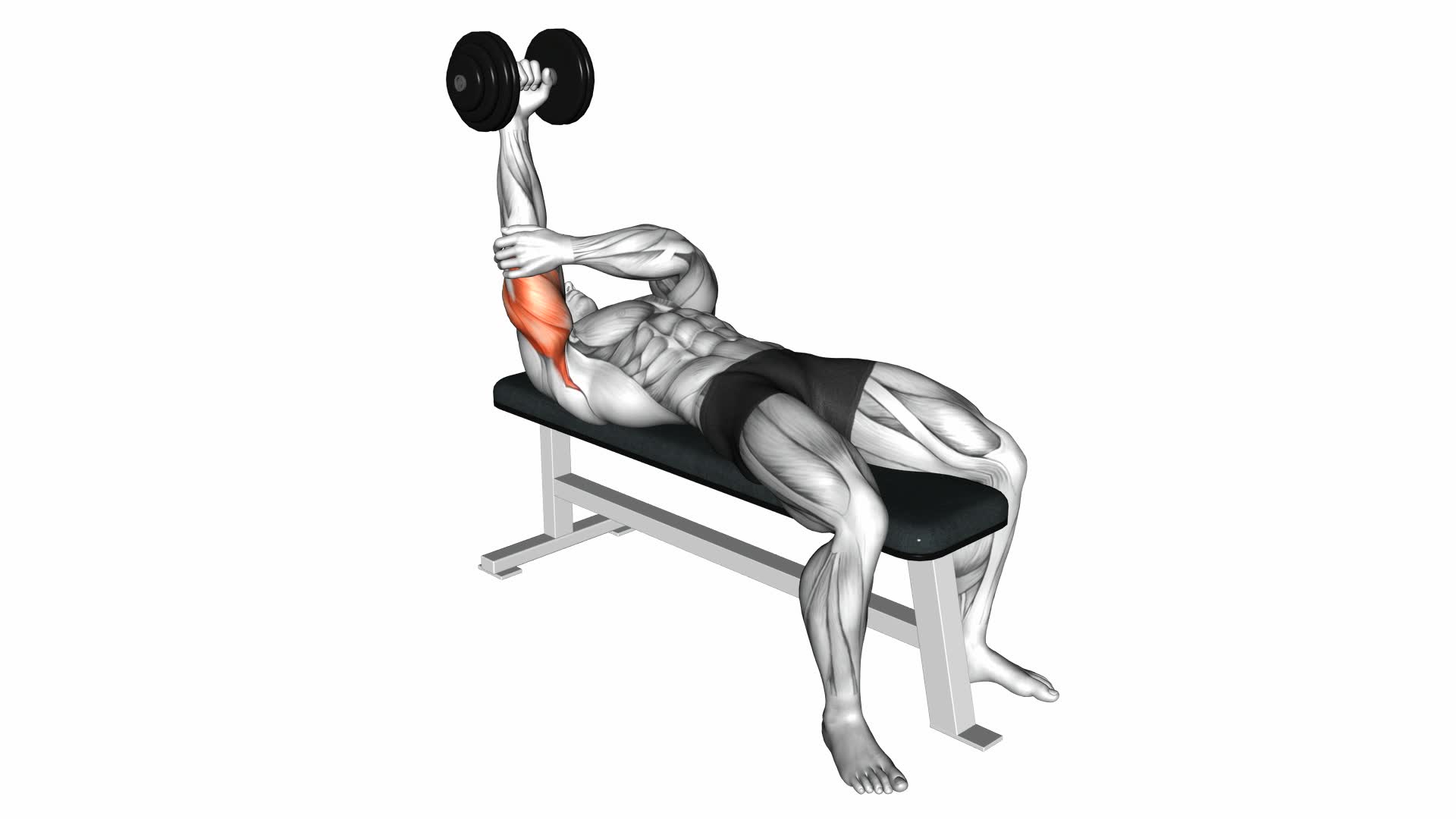 Dumbbell Lying One Arm Pronated Triceps Extension - Video Exercise Guide & Tips