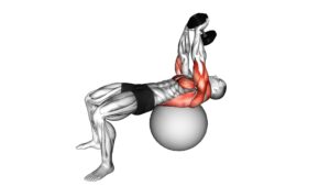 Dumbbell Lying Pullover on Exercise Ball - Video Exercise Guide & Tips