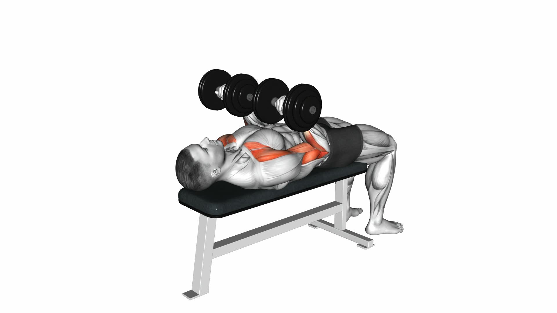 Dumbbell Lying Supine Curl - Video Exercise Guide & Tips