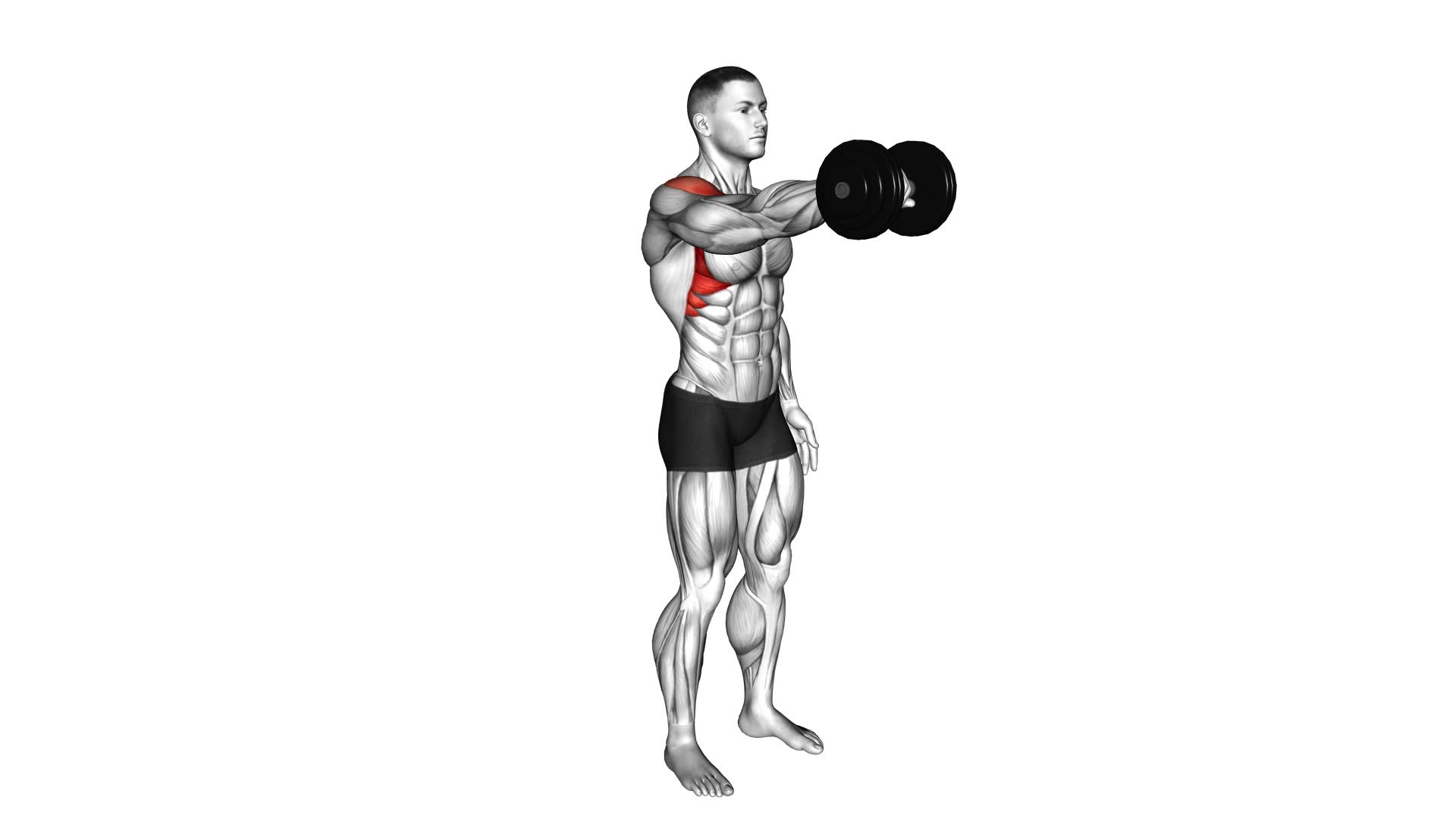 Dumbbell One Arm Front Raise - Video Exercise Guide & Tips