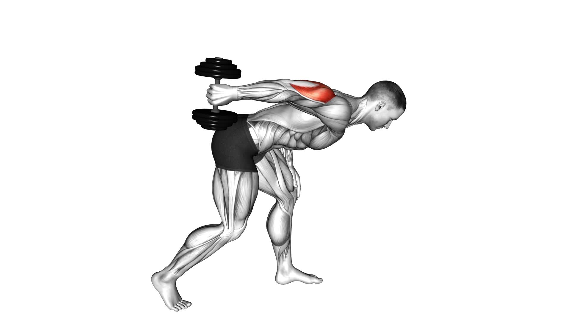 Dumbbell One Arm Kickback - Video Exercise Guide & Tips