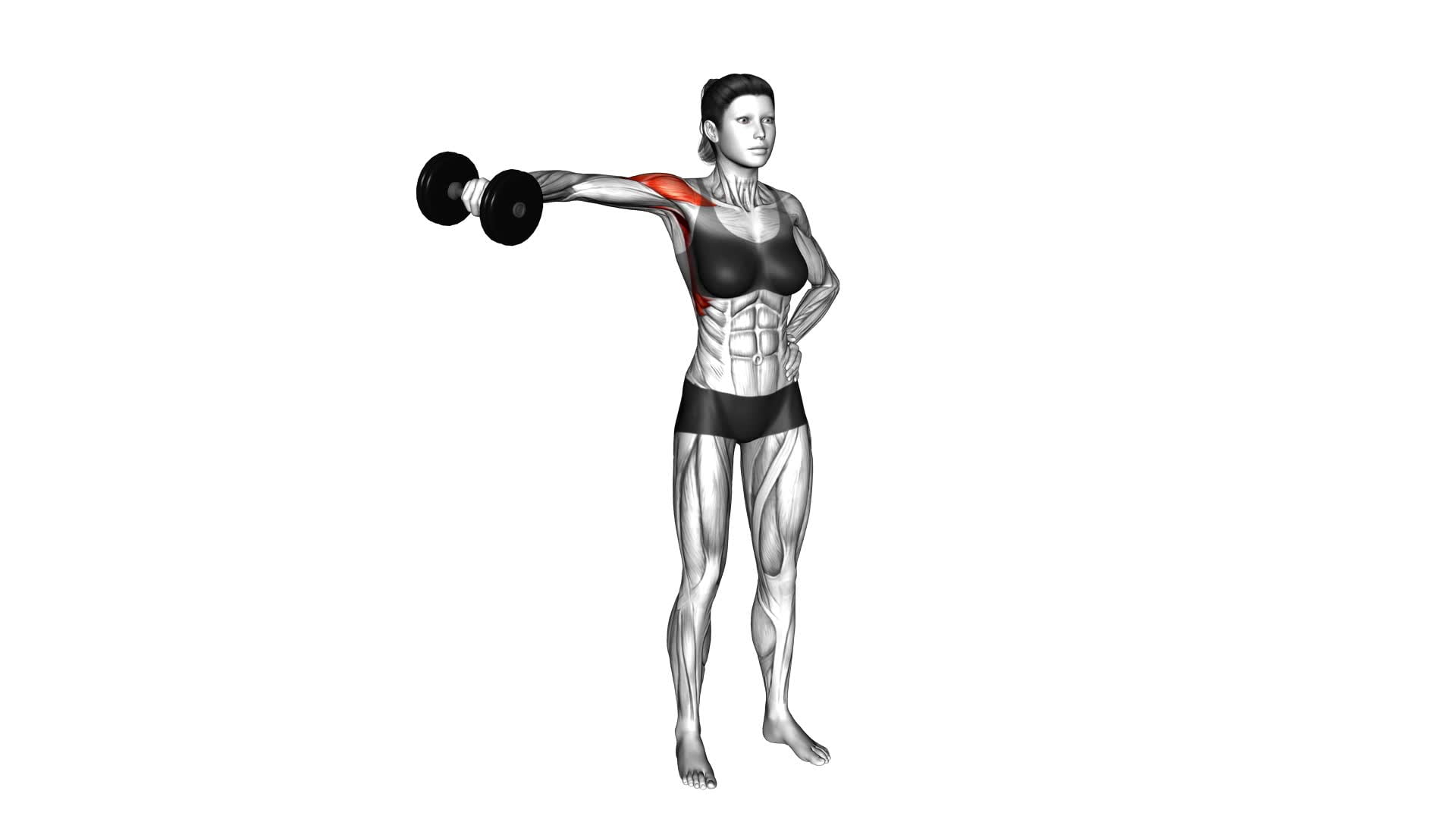 Dumbbell One Arm Lateral Raise (female) - Video Exercise Guide & Tips
