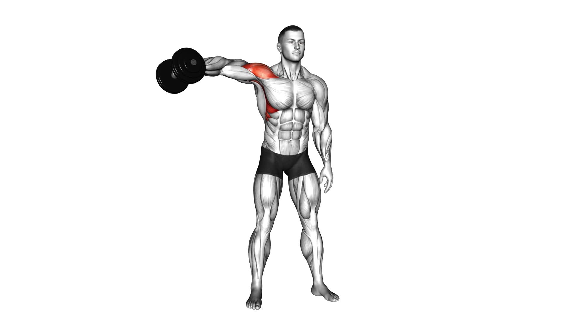Dumbbell One Arm Lateral Raise - Video Exercise Guide & Tips