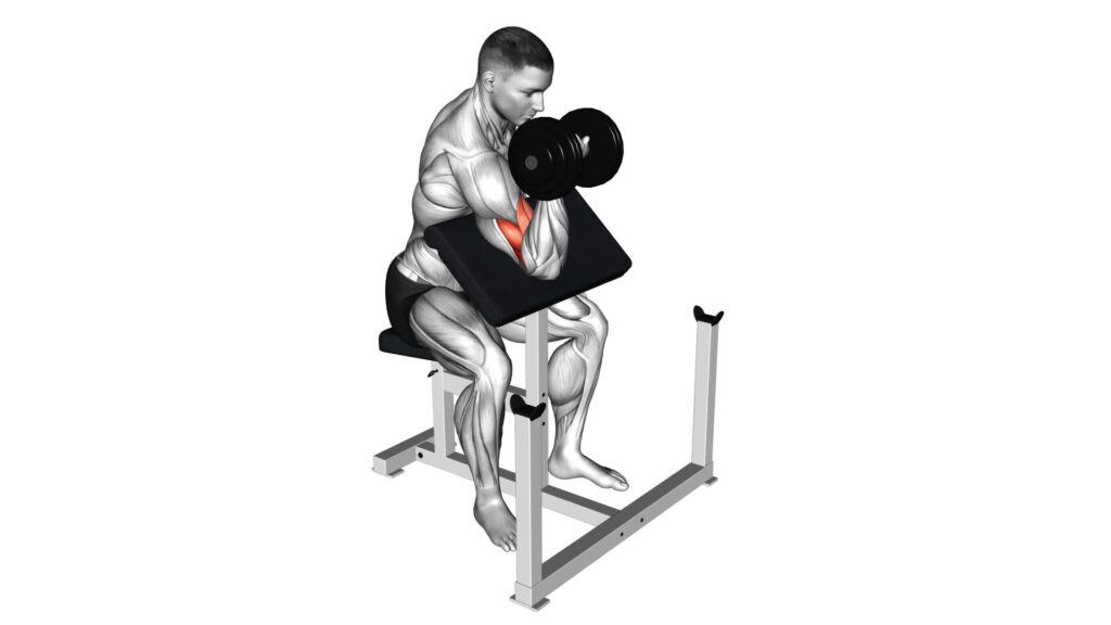 Dumbbell Reverse Preacher Curl: Video Guide & Tips