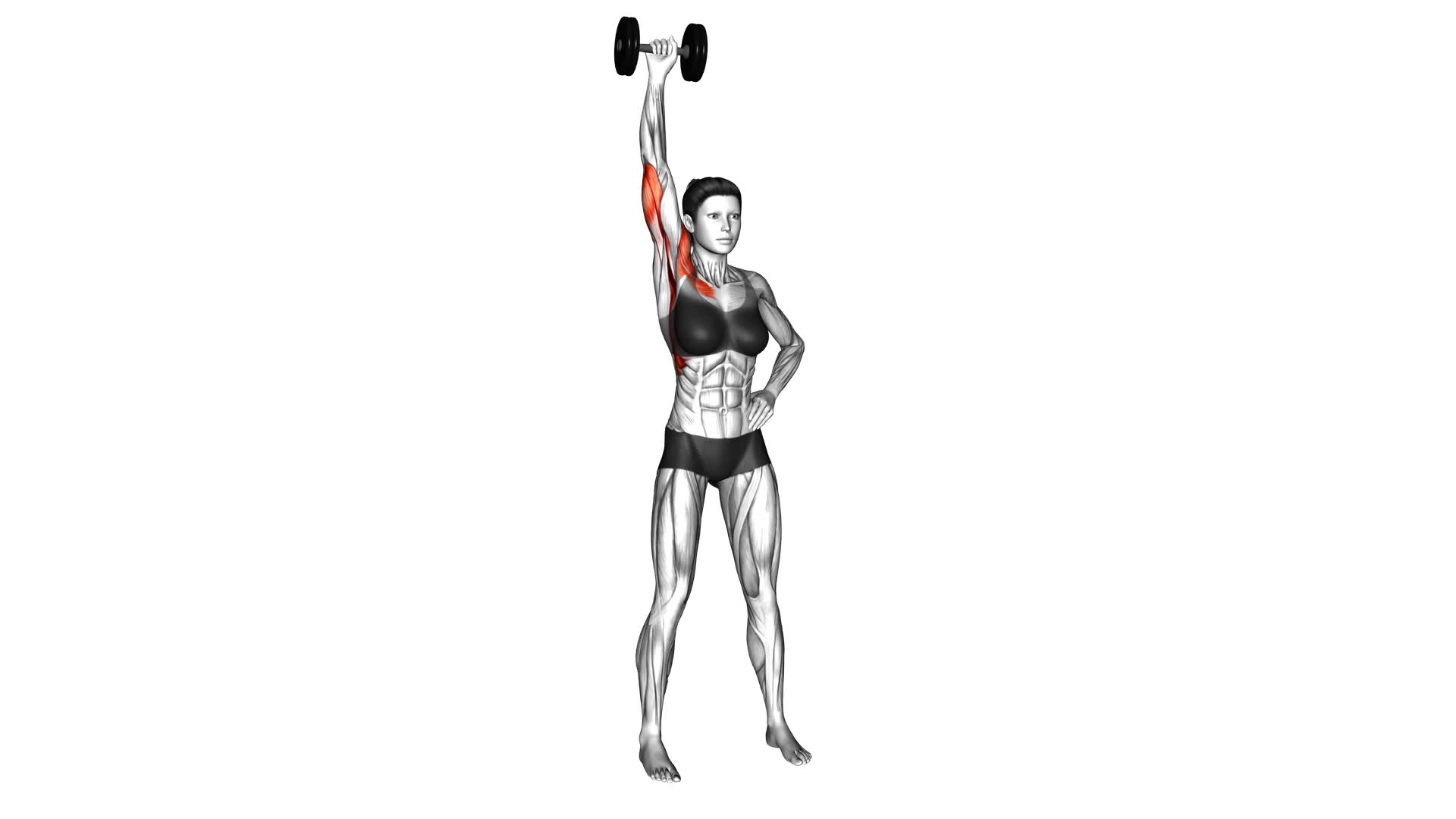 Dumbbell One Arm Shoulder Press (version 2) (female) - Video Exercise Guide & Tips