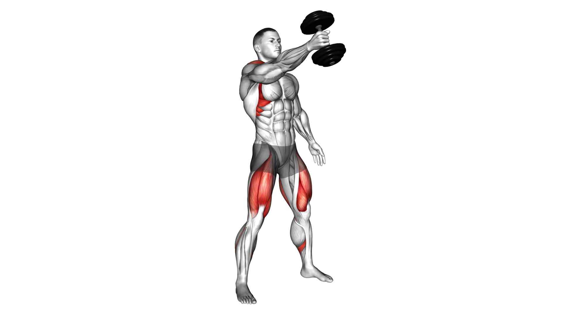 Dumbbell One Arm Swing - Video Exercise Guide & Tips