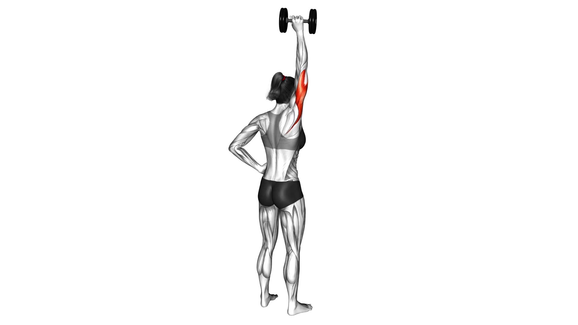 One Arm Triceps Extension For Women Video Guide And Tips 0026