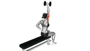 Dumbbell One Arm Triceps Extension (On Bench) (Female) - Video Exercise Guide & Tips