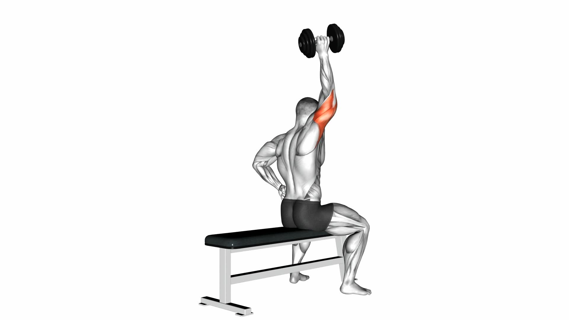 Dumbbell One Arm Triceps Extension (On Bench) - Video Exercise Guide & Tips