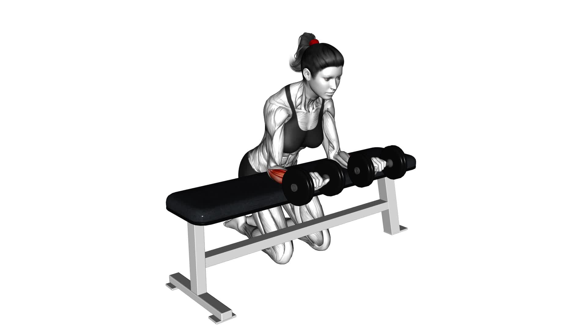 Dumbbell Over Bench Wrist Curl (female) - Video Exercise Guide & Tips