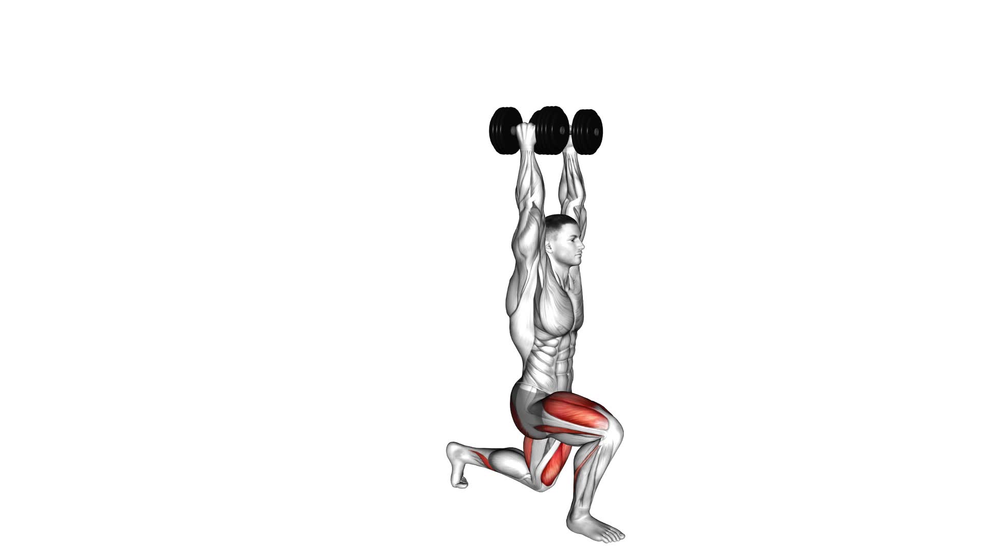 Dumbbell Overhead Lunge - Video Exercise Guide & Tips