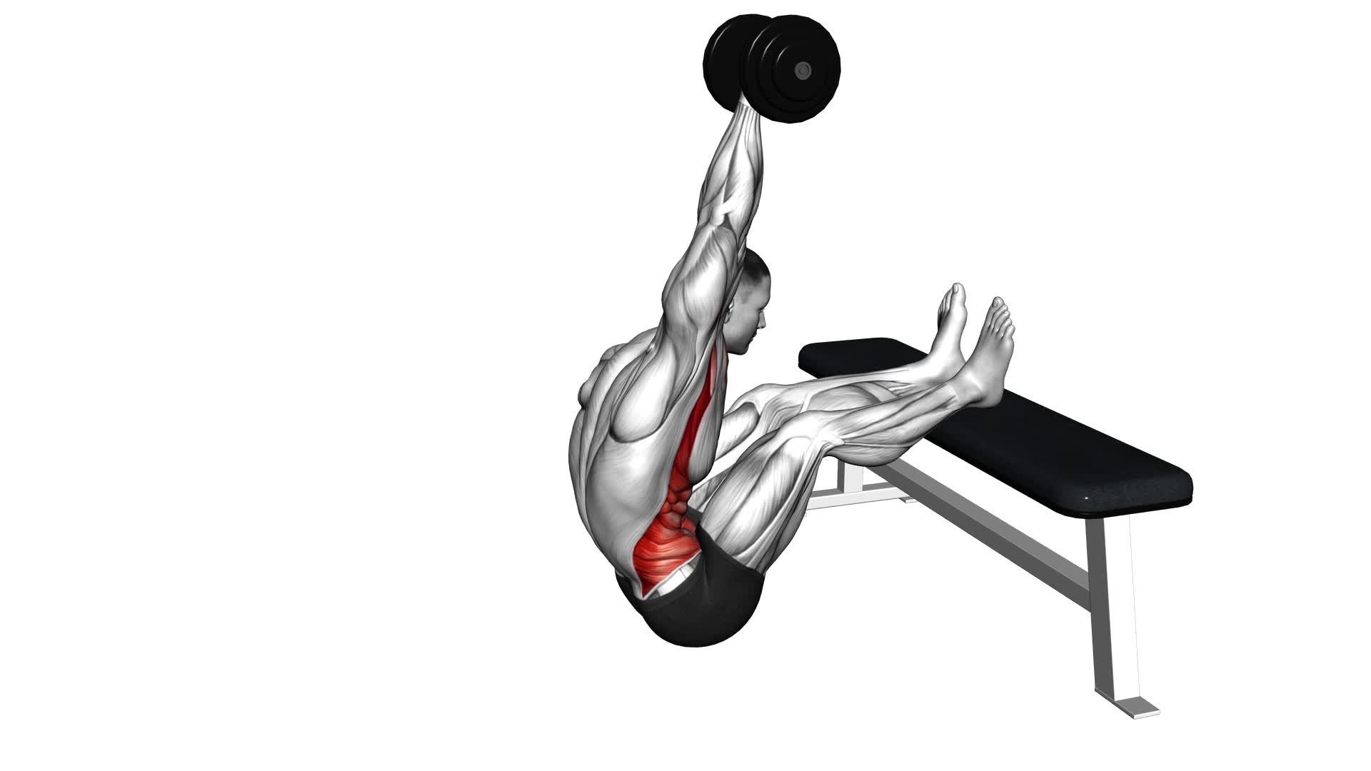 Dumbbell Overhead Sit-Up With Legs on Bench (Male) - Video Exercise Guide & Tips