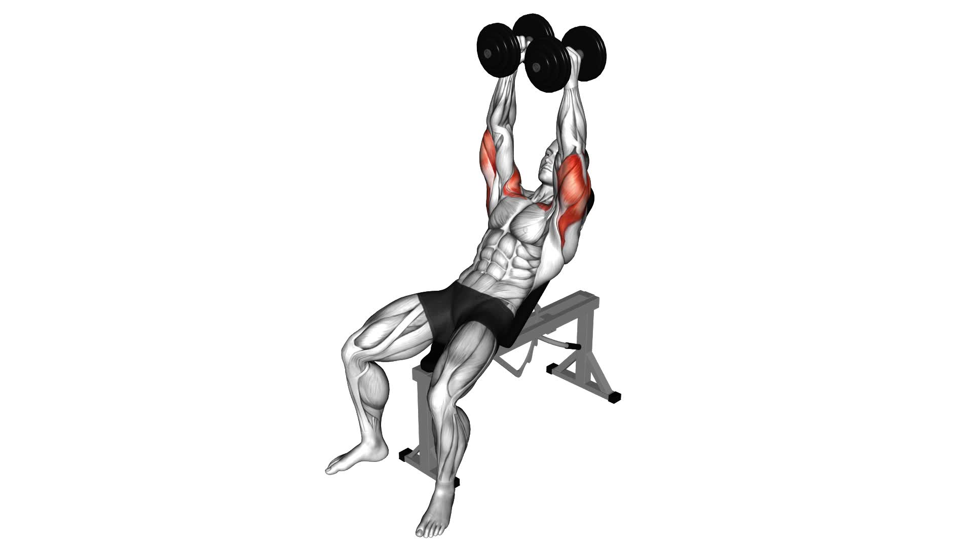 Dumbbell Palms-In Incline Bench Press - Video Exercise Guide & Tips