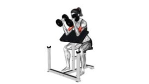 Dumbbell Peacher Hammer Curl (female) - Video Exercise Guide & Tips