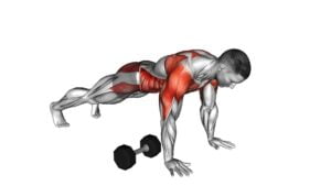 Dumbbell Plank Pass Through - Video Exercise Guide & Tips