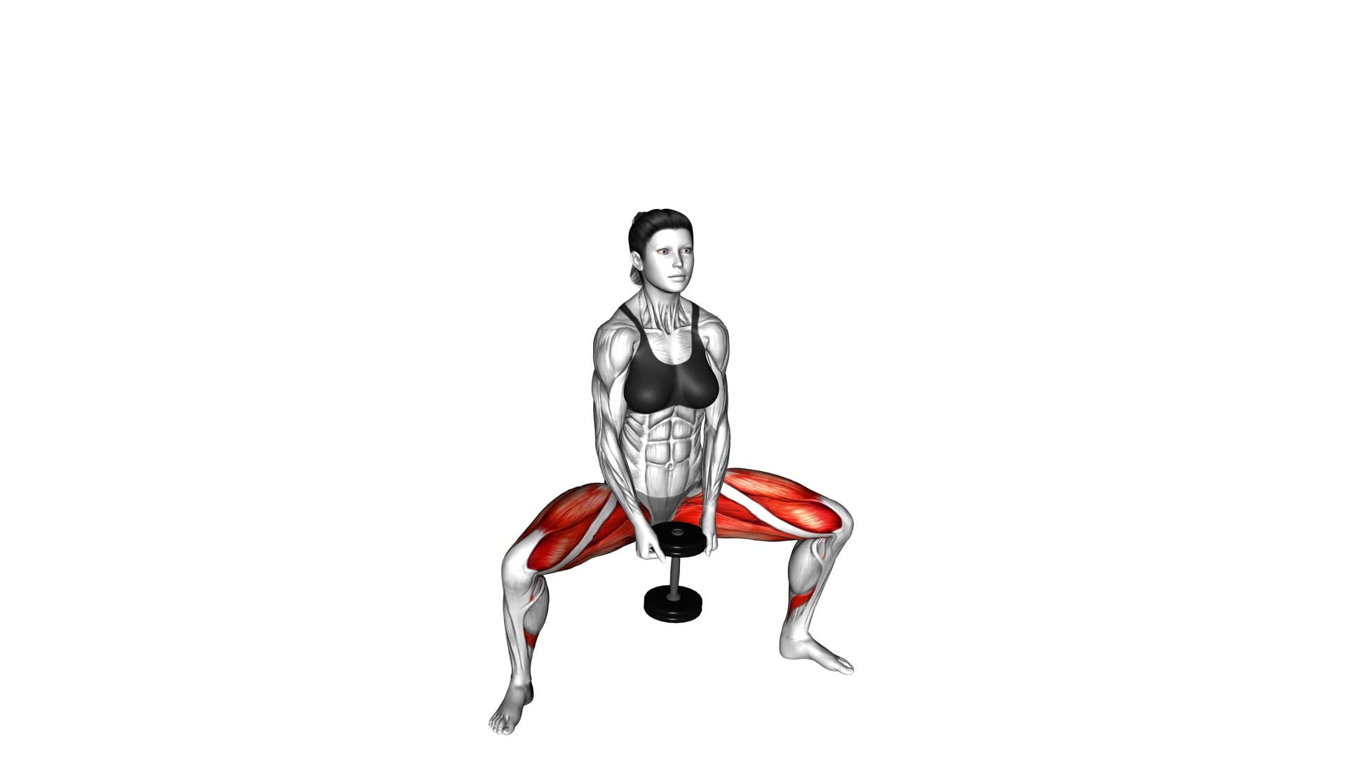 Dumbbell Plyo Squat (female) - Video Exercise Guide & Tips