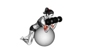 Dumbbell Preacher Curl Over Exercise Ball (Female) - Video Exercise Guide & Tips