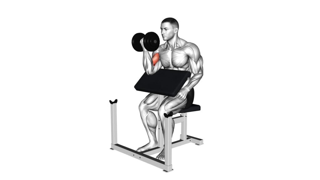 Dumbbell Preacher Curl Ultimate Guide Tips Dumbbell Preacher Curl Ultimate Guide Tips