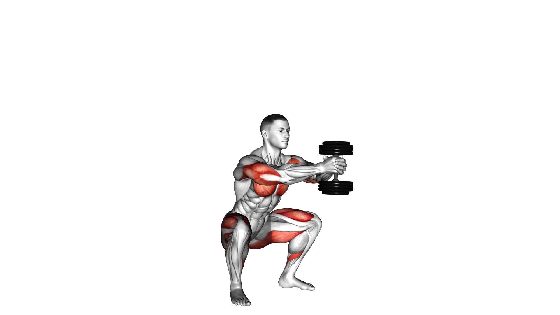 Dumbbell Press Squat - Video Exercise Guide & Tips