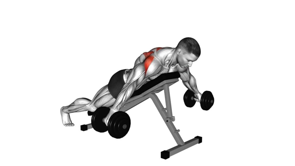 Dumbbell Prone Rear Delt Swing Exercise Guide And Tips 1579