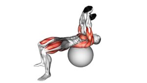 Dumbbell Pullover Hip Extension on Exercise Ball - Video Exercise Guide & Tips