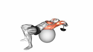 Dumbbell Pullover on Exercise Ball - Video Exercise Guide & Tips