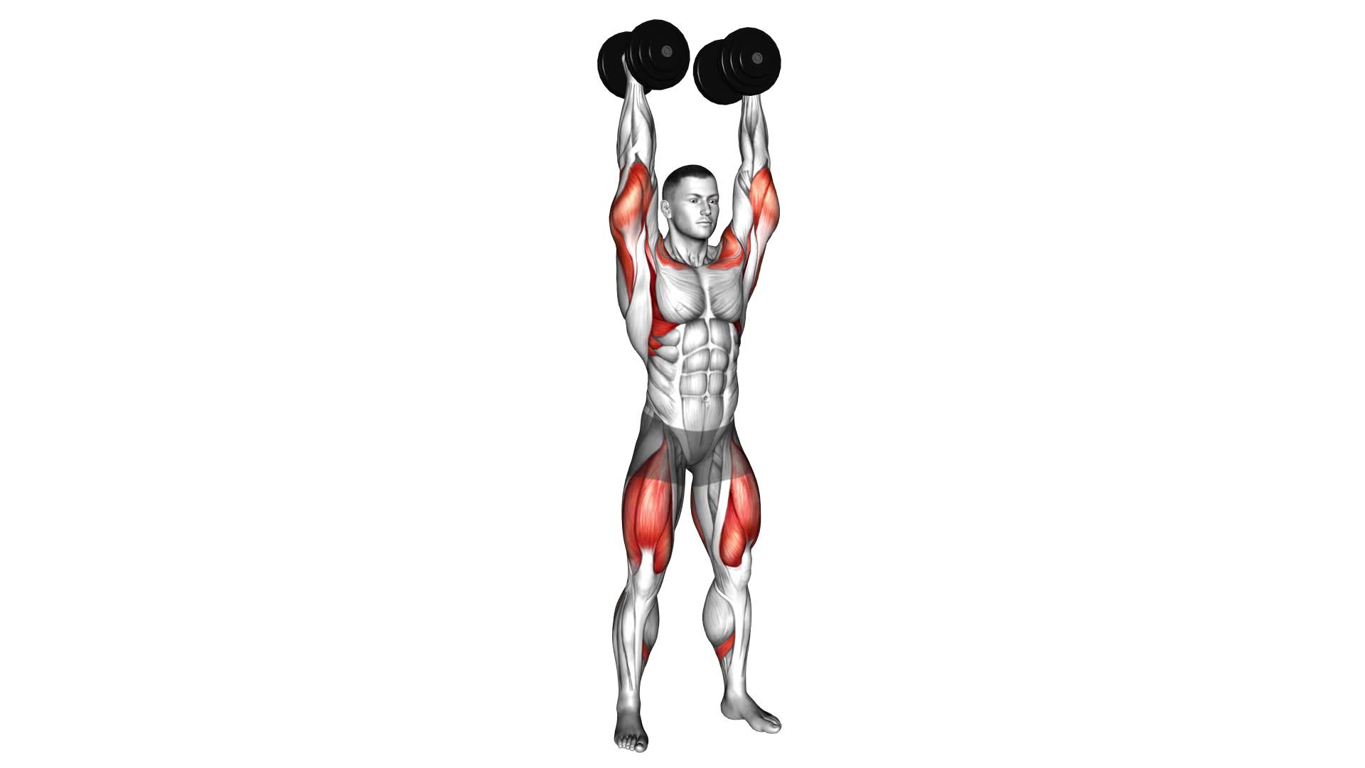 Dumbbell Push Press - Video Exercise Guide & Tips