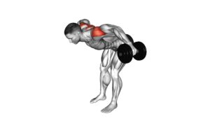Dumbbell Rear Lateral Raise - Video Exercise Guide & Tips