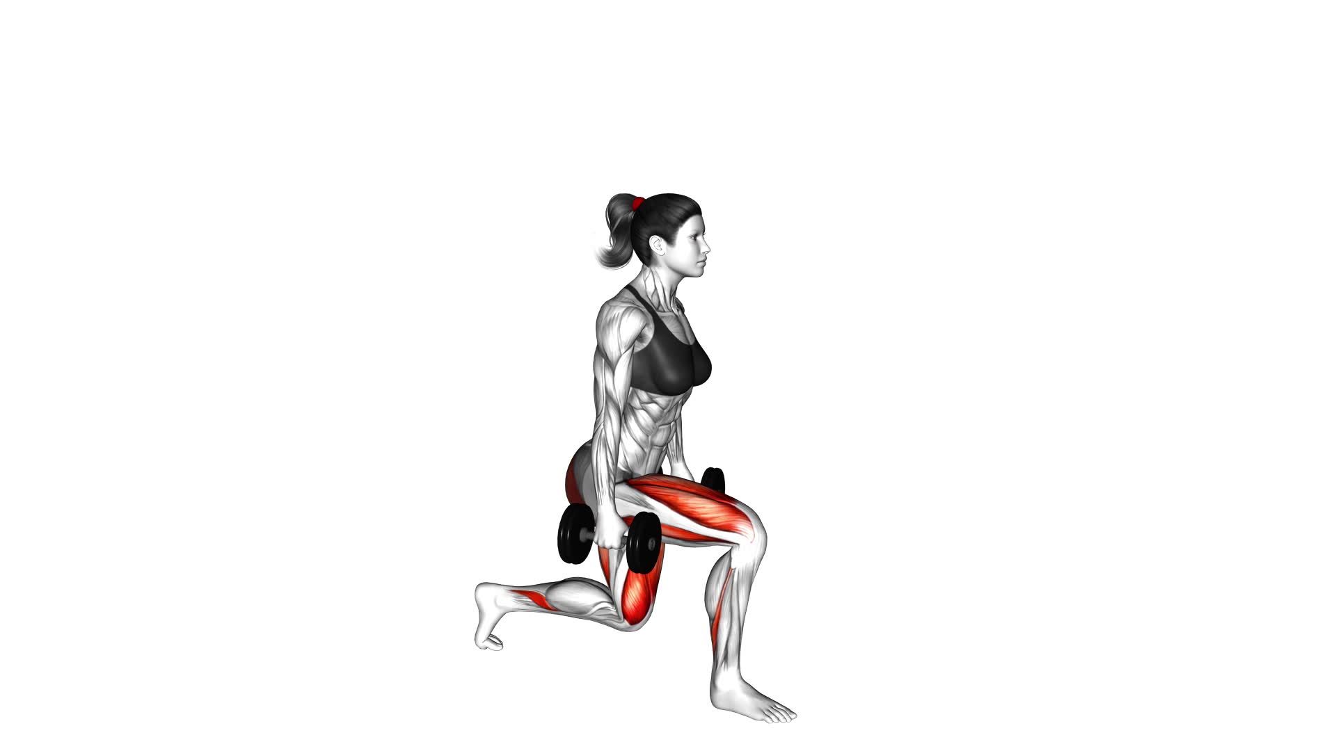 Dumbbell Rear Lunge (female) - Video Exercise Guide & Tips